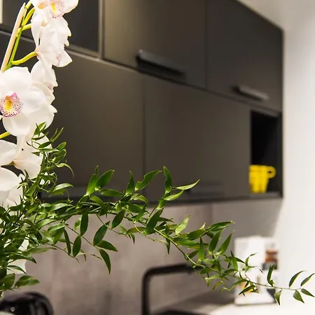 Bed&bath Luxury Διαμέρισμα *